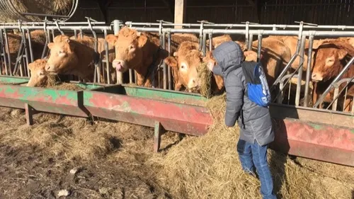 Une classe de Vernon en visite à la ferme pour une rencontre...